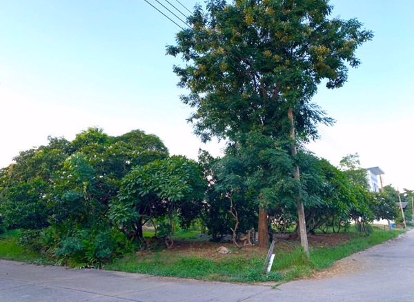 ให้เช่า-ที่ดิน-ย่านเมืองทองธานี-ที่ถมแล้ว-ขนาด-412-ตรว-ขนาดพื้นที่-1-ไร่-12-ตรว