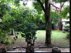 ให้เช่าที่ดิน-40-ตรว-ทองหล่อ-ซอย-13-เยื้อง-เจ-อเวนิว-ทำเลดี-เหมาะทำธุรกิจ