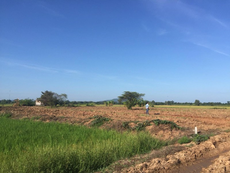 ขายที่ดิน-8-ไร่-3-งาน-ติดถนนสายเอเซีย-อมโนรมย์-จ-ชัยนาท-ฝั่งไปนครสวรรค์-ทำเลดี-ที่สวย