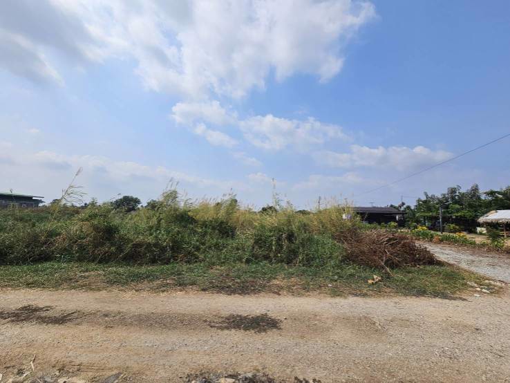 ที่ดินแปลงสวยสี่เหลี่ยมผืนผ้า แปลงมุม  ซอยวัดศรีวารีน้อย  ศรีษะจรเข้น้อย  อำเภอบางเสาธง  สมุทรปราการ