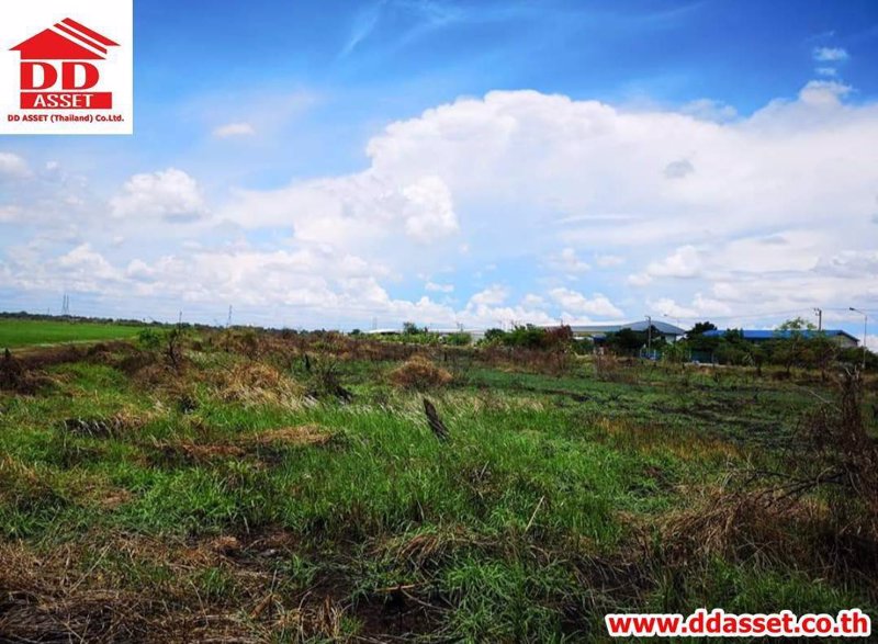 ขายที่ดิน-ติดถนน-ลำลูกกาคลอง-7-ฝั่งตะวันออกเส้นเดียวกับเทศบาลธัญบุรี