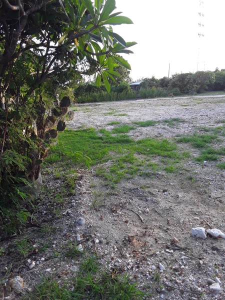 ถูกที่สุดขายที่ดินสวยงามสี่เหลี่ยมถมแล้วปลูกบ้านได้เลย-150-ตารางวา-ใกล้บางแสน-บรรยากาศเยี่ยม