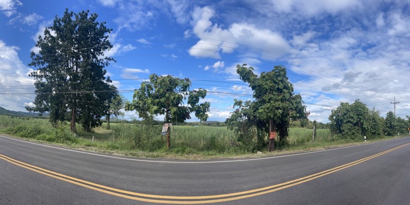 ขายที่ดิน-เนื้อที่-7-ไร่-2-งาน-42-ตารางวา-เจ้าของขายเอง-