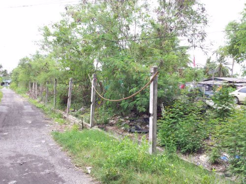 ขายที่ดินแปลงละ-25-ไร่-มี-2-แปลง-ถมแล้ว-พื้นที่สีเหลือง-ย่านอ้อมน้อย