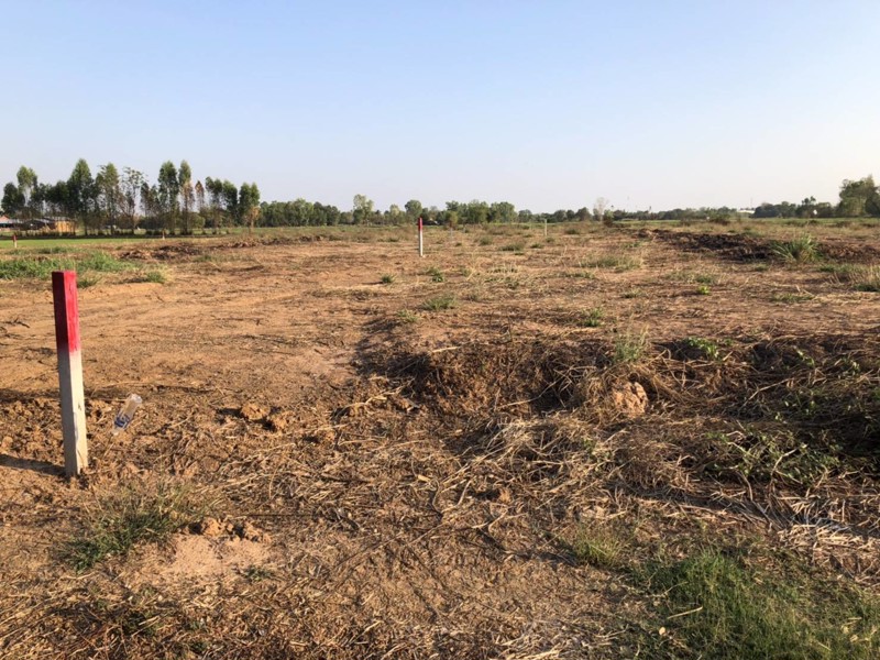 ขายที่ดินเปล่าสำหรับปลูกสร้างที่อยู่อาศัย-บ้านสวน-ที่สวย-น้ำไม่ท่วมแน่นอน