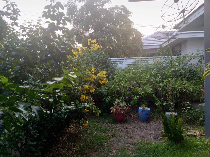 ขายบ้านพร้อมที่ดิน-มือ-2-สภาพดี-อยู่สบาย11