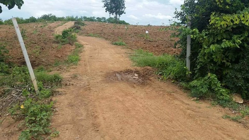 ที่ดินวิวภูเขา-ใกล้ภูทับเบิก-ห่างจากทางหลวงแผ่นดินเพียง12กม-แปลงใหญ่-103-1-81-ไร่-แบ่งโฉนดได้