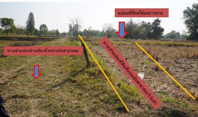 ขายที่ดินเปล่า-ราคาถูกมาก-เนื้อที่-4-ไร่กว่า