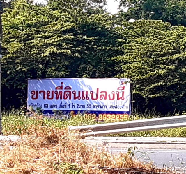 ขายที่ดิน-เนื้อที่-1ไร่-2งาน-53-ตารางวาเศษสองส่วน10