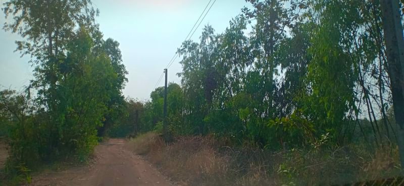 ขายที่ดินทำบ้านสวน-9ไร่