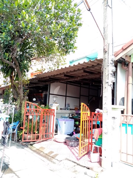 ขาย-บ้านทาวเฮาส์​-16​-ตรวา​-มบกรุงทอง-2-ห้องนอน-1​-ห้องน้ำ-หน้าบ้านมีต้นไม้ใหญ่ร่มรื่น-thumbtack-