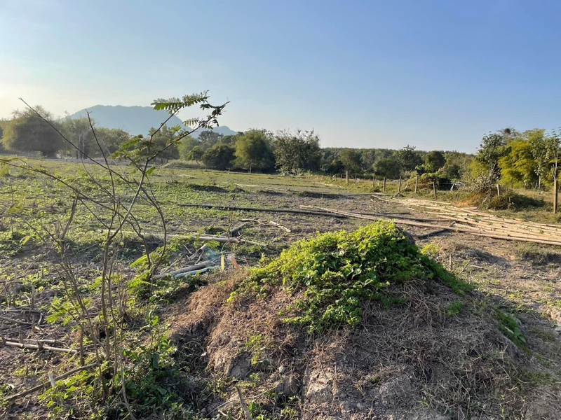 ขายที่ดินเปล่า-พิกัดบ้านหนองด่าน-ไร่ละ650000-บาท