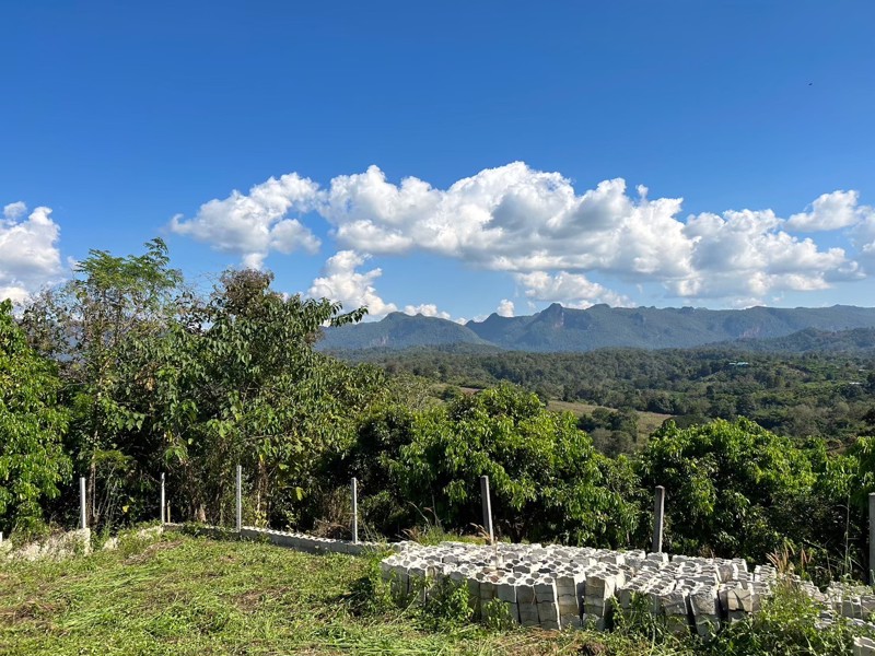 ขายที่ดินเปล่า-ทำเลดี-วิวสวย-เชียงดาว-ใกล้เขาหลวงเชียงดาว