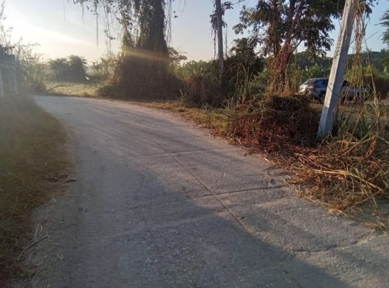 ขายที่ดินแบ่งแปลง-ขนาด-100ตรว