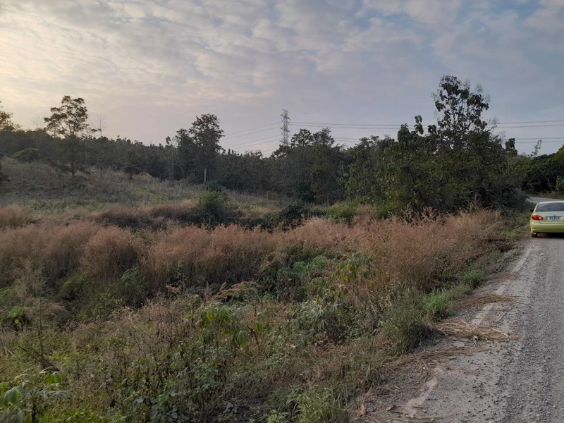 ขาย-ที่ดินวัยเกษียณ-โซนธรรมชาติ-เพียง-29-แสน-ทำเลชัยภูมิที่ดีที่สุด-จังหวัดน่าน-