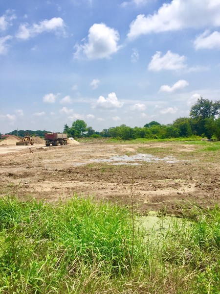 ขายที่ดิน-ลาดหลุมแก้ว-ปทุมธานี-15-ไร่ครึ่ง-พื้นที่สีม่วง-แบ่งขายได้-ติดถนน-เดินทางไป-วงแหวนตะวันตก-ส