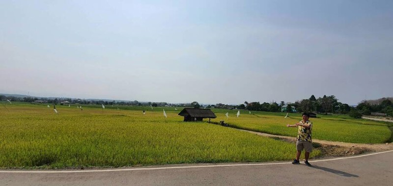 ขายที่ดิน-ยกแปลง-ทำเลดีมาก-เป็นจุดศูนย์กลาง-แหล่งท่องเที่ยว-เชียงใหม่-เชียงราย-ลำปาง-เจ้าของขายเอง-โ