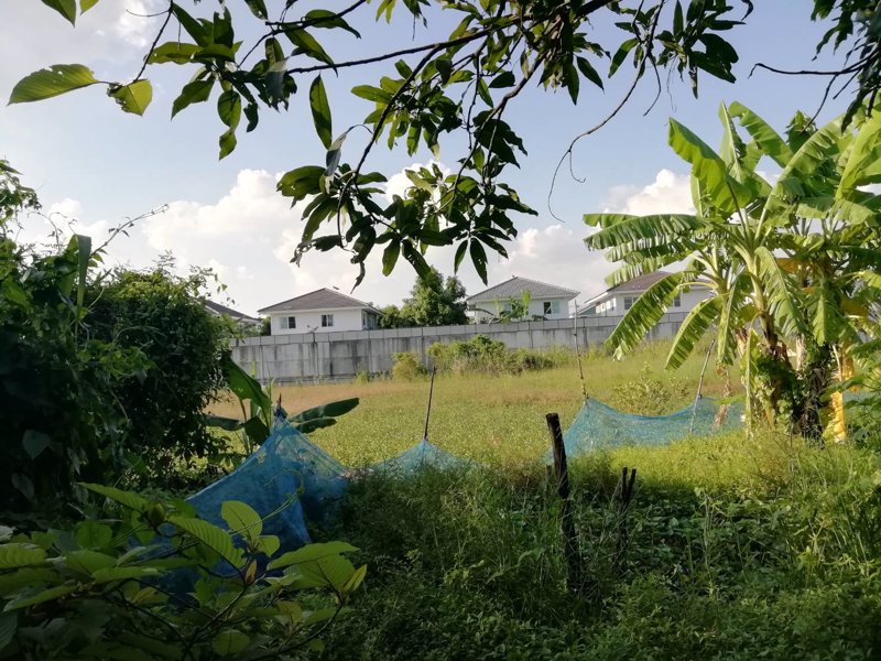 ขายด่วนที่ดินทำเลดีราคาถูก-1-ไร่-จตุโชติ