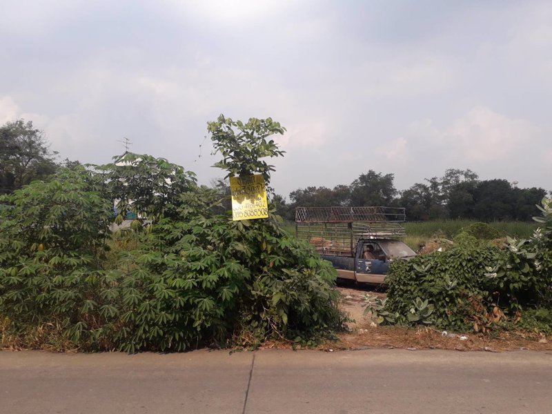 ขายถูกที่ดิน-3-ไร่กว่า-ทำเลดีห่างถนนติวานนท์เพียง-120-ม