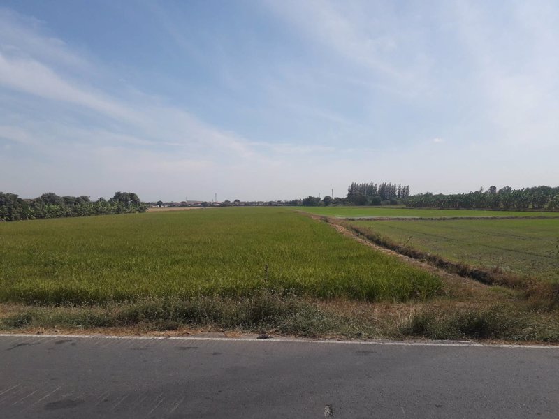 ขายถูกมากที่ดิน-93-ไร่-ติดหมู่บ้านพฤกษา-3-วัดลาดปลาดุก