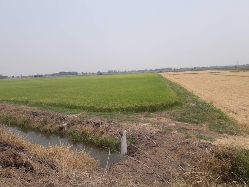 ขายถูกมากที่ดินเปล่า-18-ไร่-ขายต่ำกว่าราคาประเมิน-เมืองอยุธยา-ห่างถนนสายเอเซียเพียง-3-กม