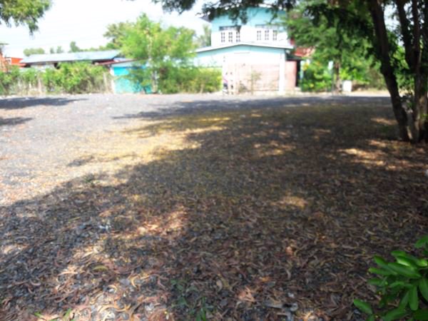 ขาย-ที่ดินซอยบงกช-2-146-ตรวา-ถมแล้ว-ถเลียบคลองสองคลองหลวง