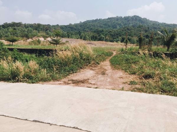 ขายที่ดินทำเลดีราคาถูก-ตหาดเล็ก-อคลองใหญ่-จตราด-40-ไร่-94-ตารางวา