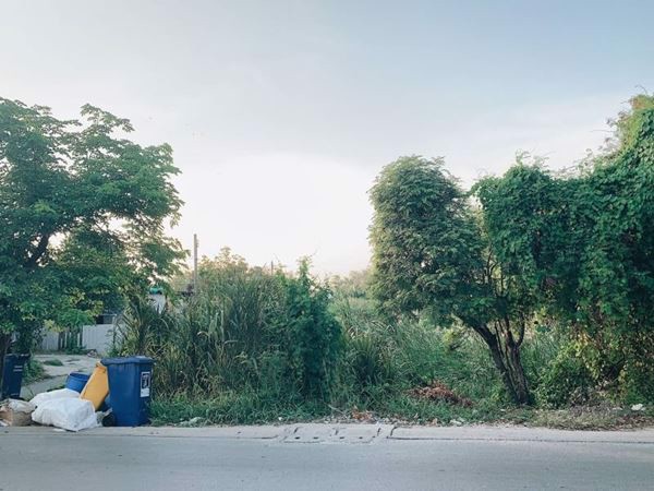 ขายที่ดินราคาถูกเท่าราคาประเมิน-ซอยพหลโยธิน-เขตสายไหม-กทม-2-ไร่