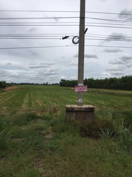 ขายที่ดินแปลงสวยติดถนนลาดยาง-8ไร่-อเสนา-จพระนครศรีอยุธยา