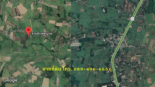 ขายที่ดินและต้นสัก-ขายรวมต้นสัก-แบ่งขายต้นสัก-ขนาด-4-ไร่-88-ตรว-อวิเชียรบุรี-จเพชรบูรณ์