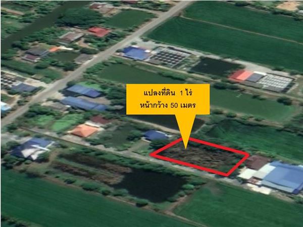 ขายที่ดิน-1-ไร่-ในเขตชุมชน-ใกล้โตโยต้าบ้านโพธิ์-จฉะเชิงเทรา