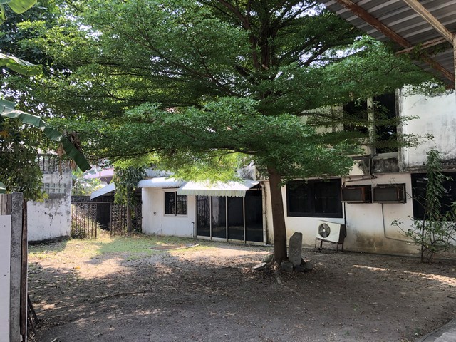 ขายที่ดิน-ซอย-จรัลสนิทวงศ์-75-พร้อมสิ่งปลูกสร้าง-เนื้อที่-266-ตรว-รูปแปลงสวย-ราคาถูก