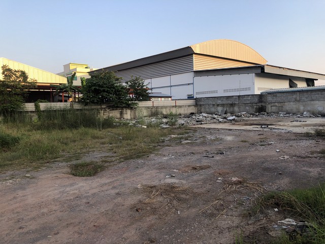 ขายที่ดิน-ใน-นาดี-เมืองสมุทรสาคร-เนื้อที่-739-ตรว-แปลงมุมสวย