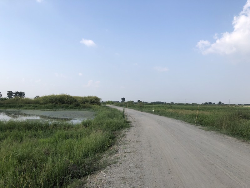 ขาย-ที่ดิน-ชลบุรี-อมตะ-พานทอง-เนื้อที่-11-0-29-ไร่-บ้านศาลา-ชลบุรี