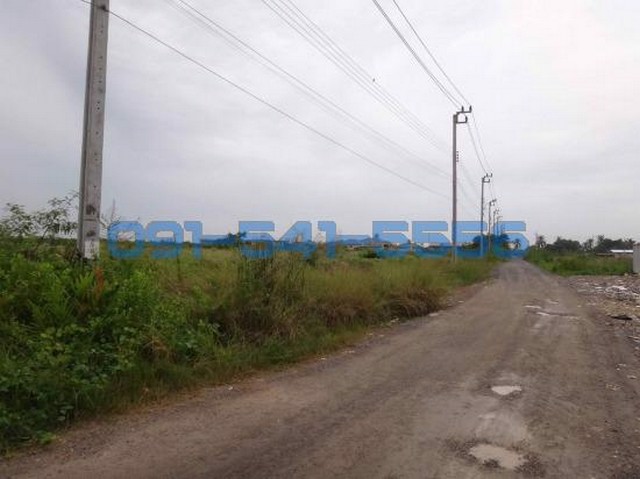 ขายที่ดิน-ซอยแก้วแจ่ม-ท่าข้าม-พระราม2-4-1-43-ไร่-ไร่ละ-53-ล้านบาท-ถมที่ดินเรียบร้อย-พื้นที่สีเขียว