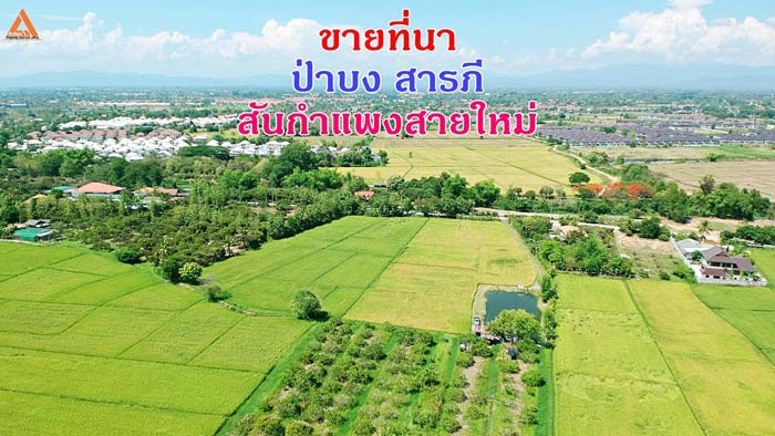 ขายที่นา-ตำบลป่าบง-อำเภอสารภี-สันกำแพงสายใหม่