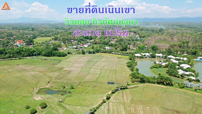 ขายที่ดินเนินเขา-วิวดอย-ทิวทัศน์ทุ่งนา-ตำบลสะลวง-อำเภอแม่ริม-เชียงใหม่