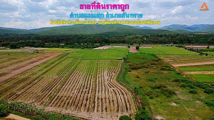 ขายที่ดินราคาถูก-ตำบลแม่แฝก-อำเภอสันทราย-รีบตัดสินใจเป็นเจ้าของ-ช้าเพียงนิดท่านอาจต้องเสียดาย