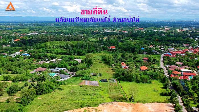 ขายที่ดิน-หลังมหาวิทยาลัยแม่โจ้-ตำบลป่าไผ่-อำเภอสันทราย-จังหวัดเชียงใหม่