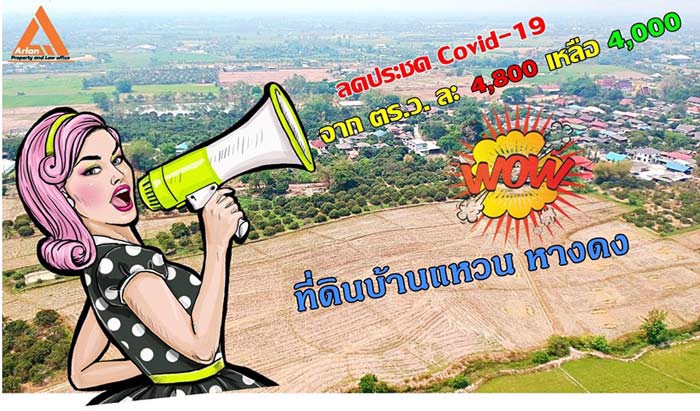 ขายที่นา-พร้อมสวนลำไย-ตำบลบ้านแหวน-อำเภอหางดง-เชียงใหม่