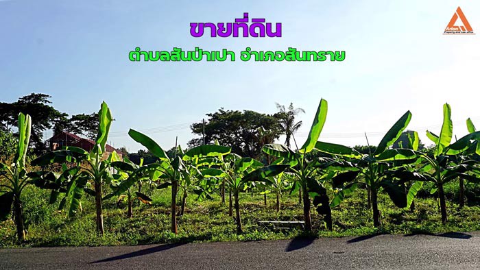ขายที่ดิน-ตำบลสันป่าเปา-อำเภอสันทราย-จังหวัดเชียงใหม่-การเดินทางสะดวก