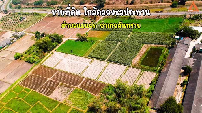 ขายที่ดิน-ใกล้คลองชลประทาน-ตำบลแม่แฝก-อำเภอสันทราย-จังหวัดเชียงใหม่