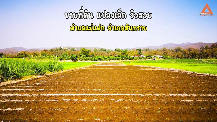 ขายที่ดิน-ใกล้กับ-บ้านเมืองวะ-หนองก้นครุ-ตำบลเมืองเล็น-อำเภอสันทราย-จังหวัดเชียงใหม่