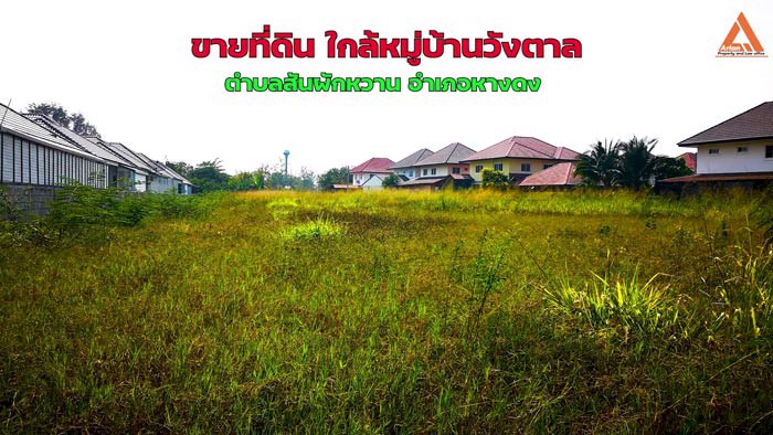 ขายที่ดิน-ใกล้หมู่บ้านวังตาล-ตำบลสันผักหวาน-อำเภอหางดง-จังหวัดเชียงใหม่