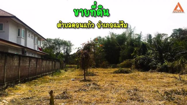 ปรับลดราคา-ขายที่ดิน-ใกล้ถนนใหญ่-ตำบลดอนแก้ว-อำเภอแม่ริม-จังหวัดเชียงใหม่