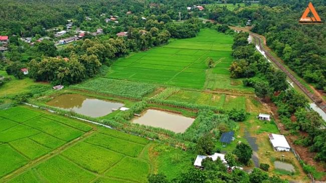 ขายที่ดิน-ติดถนน-ชม3044-ตำบลแม่โป่ง-อำเภอดอยสะเก็ด-จังหวัดเชียงใหม่