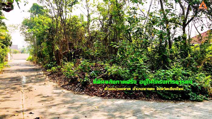 ขายที่ดินหลังกาดฝรั่ง-อยู่ในโครงการธารดง-ตำบลบ้านแหวน-อำเภอหางดง-จังหวัดเชียงใหม่