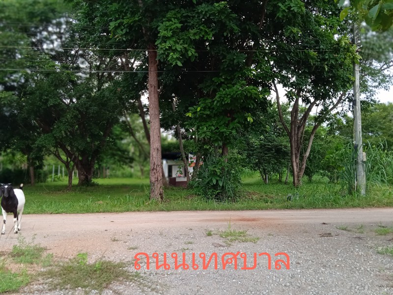 ที่ดินโฉนด1ไร่ ราคา800,000 เขตเทศบาลต.ท่าเคยอ.สวนผึ้ง จ.ราชบุรี