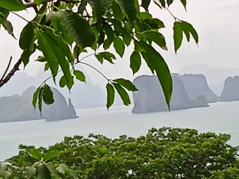 ขายที่ดิน-เป็นทีชีวิวเห็นทะเลเเละเกาะต่างหลายเกาะ-เป็น-นส3-ธรรมดา-9ไร่