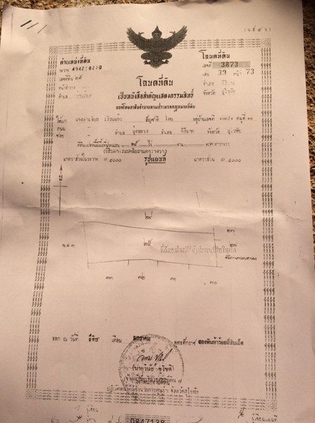 ขายที่ดิน-เนื้อที่-28-ไร่-3-งาน-93-ตารางวา-เป็นไร่นาสวนผสม